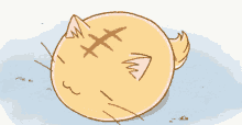 Poyopoyo Cat GIF - Poyopoyo Cat Wake Up GIFs