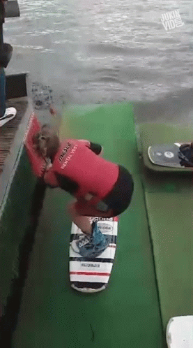 Funny Picture Caption Gif [Video]  Reddit funny, Funny gifs fails, Funny  gif