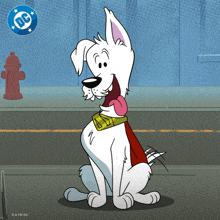 a cartoon dog wearing a cape with the dc logo on the bottom