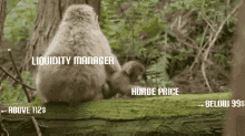 Horde Liquidity Manager GIF - Horde Liquidity Manager Horde Price GIFs