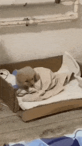 a small puppy is laying in a cardboard box with a blanket .