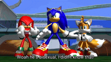 Sonic Riders Snapcube GIF - Sonic Riders Snapcube Bisexual GIFs