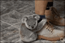 Koala Clingy GIF - Koala Clingy Cute GIFs