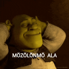 Shrek Sus Sussy GIF - Shrek Sus Sussy Mozolonmo GIFs