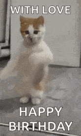 a cat is standing on its hind legs with the words `` with love happy birthday '' written on it .