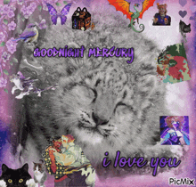 a picture of a leopard with the words goodnight mercury i love you