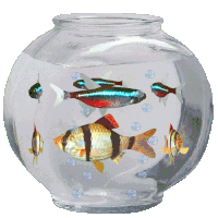 Fish Bowl Fish Bowl Sticker Sticker - Fish Bowl Fish Fish Bowl Sticker Stickers