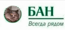 a picture of a cat in a circle next to the word ban in green