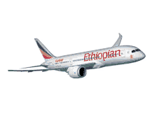 airlines travel flyethiopian ethiopianairlines