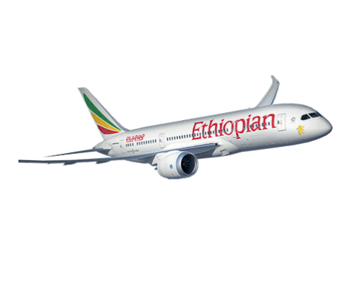 Airlines Travel Sticker - Airlines Travel Flyethiopian Stickers