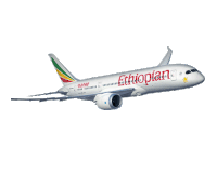 Airlines Travel Sticker - Airlines Travel Flyethiopian Stickers