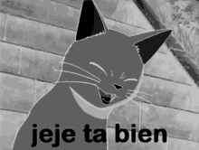 Jeje Ta Bien Guerrero De Dios GIF - Jeje Ta Bien Guerrero De Dios Cat GIFs