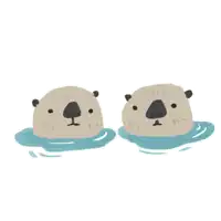 two sea otters are swimming in the water and looking at something