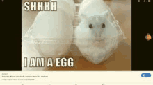 Egg Hamster GIF