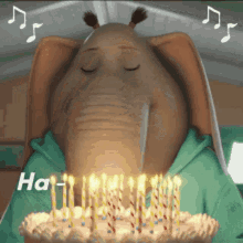 Elephant Happy Birthday GIFs | Tenor