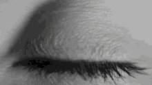 Polar Eye GIF - Polar Eye GIFs