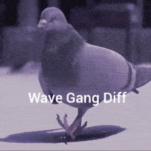 Wave Gang Diff Omen Diff GIF - Wave Gang Diff Omen Diff Omen GIFs
