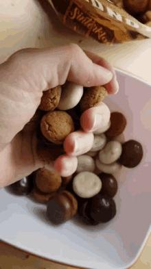 Kruidnoten Chocolade GIF - Kruidnoten Chocolade Pepernoten GIFs