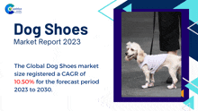 Dog Shoes Market Report 2024 Marketreport GIF - Dog Shoes Market Report 2024 Marketreport GIFs