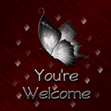 Youre Welcome Butterfly GIF