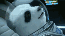 Thumbs Up Panda GIF - Thumbs Up Panda Bear GIFs