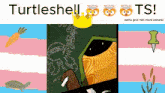 a poster that says turtleshell ts with a drawing of a turtle