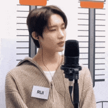 a young man wearing a name tag that says rui singing into a microphone