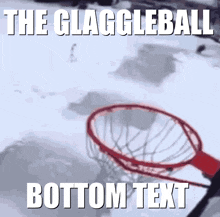 The Glaggleball Glaggleland Massacre GIF - The Glaggleball Glaggleland Massacre Holy Shit He Dunked That GIFs