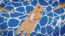 Anime Free GIF - Anime Free Otter GIFs
