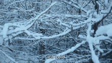 Cold GIF - Snow Trees Ice Cold GIFs