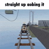 a roller coaster in a video game with the words `` straight up aobing it '' written on it .