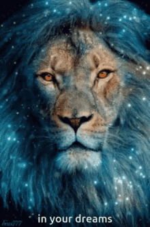 King Lion In Your Dreams GIF