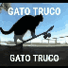 Gato Truco Gat Trick GIF