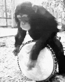 Monkey Black Metal GIF - Monkey Black Metal Drum GIFs