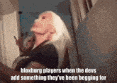 a woman says bloxburg players when the devs add something theyve been begging for
