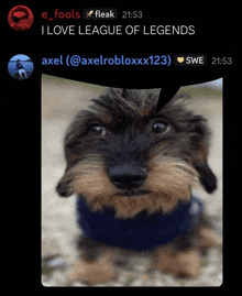 a picture of a dog with a speech bubble that says league of legends