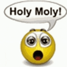 a surprised smiley face with a speech bubble that says holy moly !