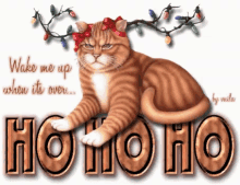 Ho Ho Ho Christmas Is Over GIF - Ho Ho Ho Christmas Is Over Cats GIFs