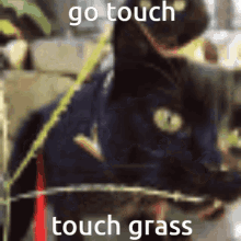 Touch Grass Go Touch Grass GIF - Touch Grass Go Touch Grass Touch Some Grass GIFs