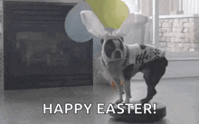Dog Easter GIF - Dog Easter Bunny GIFs