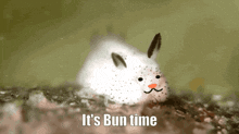 Sea Bunny Bun Time GIF - Sea Bunny Bun Time Bunbun GIFs