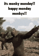Monkey Monkey Dance GIF