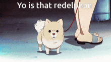 Redelphan Dog GIF - Redelphan Dog GIFs