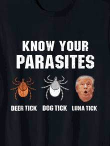 Know Your Parasites GIF - Know Your Parasites GIFs