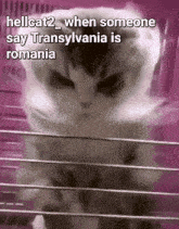 Fun Meme Memes GIF - Fun Meme Memes Romania GIFs