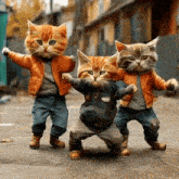 three cats wearing jackets and jeans are dancing in a street