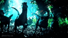 a group of dinosaurs are walking through a dark forest at night .