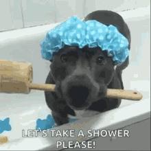 Shower Dog GIF