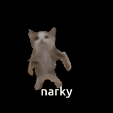 Narky GIF - Narky GIFs