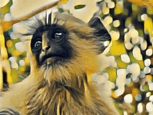 Monkey King GIF - Monkey King GIFs